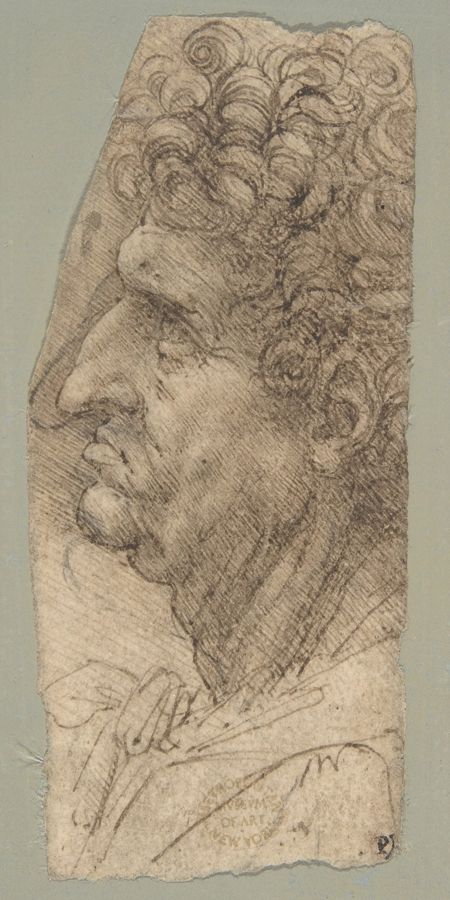 Head of a Man in Profile, Leonardo da Vinci