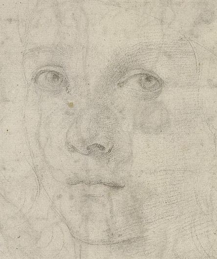 Head of a Boy (detail), Raphael